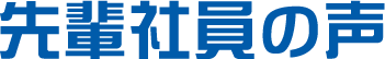 先輩社員の声